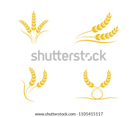 Agriculture wheat Logo Template vector icon design 