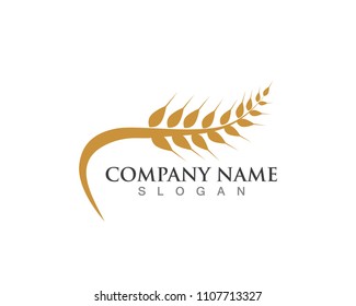 Agriculture wheat Logo Template,healthy life logo vector icon design