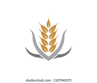 Agriculture wheat Logo Template,healthy life logo vector icon design