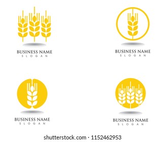 Agriculture wheat Logo Template,healthy life logo vector icon design