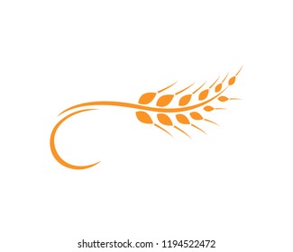 Agriculture wheat Logo Template,healthy life logo vector icon design