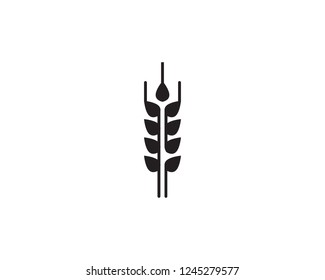 Agriculture wheat Logo Template,healthy life logo vector icon design
