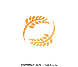 Agriculture wheat Logo Template,healthy life logo vector icon design
