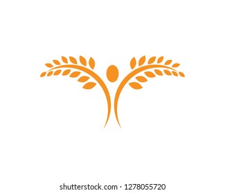 Agriculture wheat Logo Template,healthy life logo vector icon design
