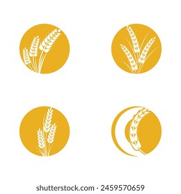 Agriculture wheat logo vector template and symbol