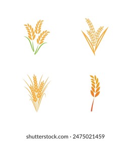 Agriculture wheat logo vector template and symbol