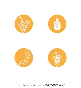 Plantilla y símbolo del Vector del logotipo del trigo agrícola