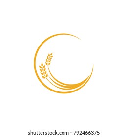 Agriculture wheat logo vector template