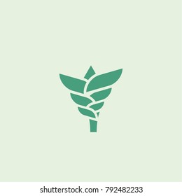 Agriculture wheat logo vector template