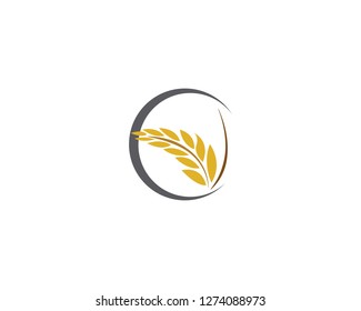 Agriculture wheat rice icon Template vector design