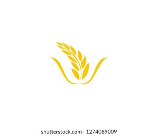 Agriculture wheat rice icon Template vector design