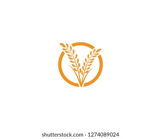 Agriculture wheat rice icon Template vector design