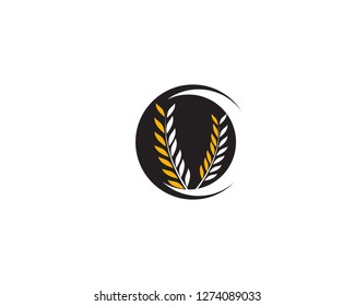 Agriculture wheat rice icon Template vector design