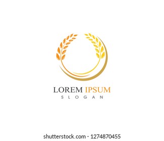Agriculture wheat rice Logo Template vector icon design 