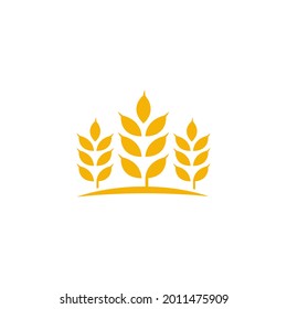 Agriculture wheat rice vector icon design template
