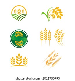 Agriculture wheat rice vector icon design template