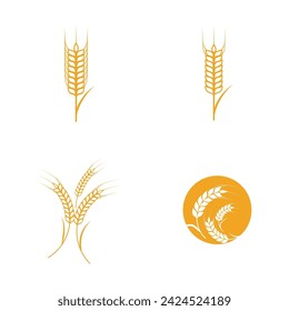 Agriculture wheat rice vector icon design template
