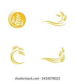 Agriculture wheat rice vector icon design template
