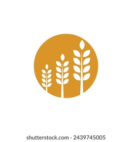 Agriculture wheat rice vector icon design template
