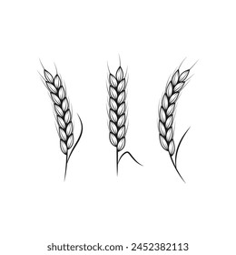 Agriculture wheat rice vector icon design template
