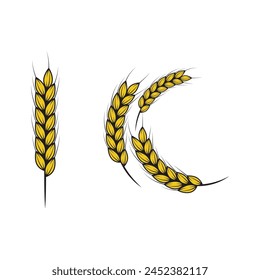 Agriculture wheat rice vector icon design template
