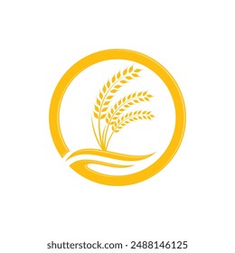 Agriculture wheat rice vector icon design template
