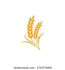 Agriculture wheat Template vector icon design illustration