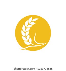 Agriculture wheat Template vector icon design illustration