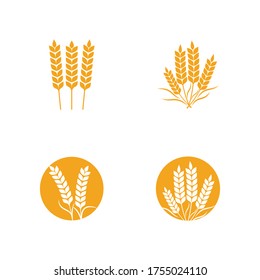 Agriculture wheat Template vector icon design illustration