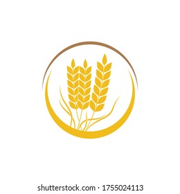 Ilustración de diseño de icono de la plantilla de trigo agrícola