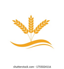 Agriculture wheat Template vector icon design illustration