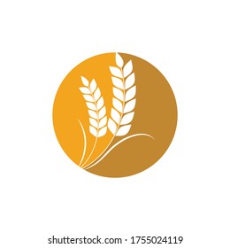 Agriculture wheat Template vector icon design illustration