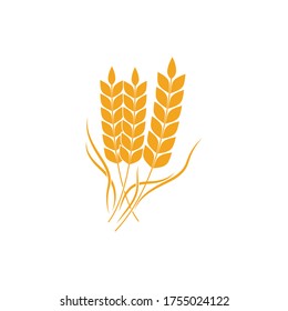 Agriculture wheat Template vector icon design illustration