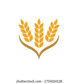 Agriculture wheat Template vector icon design illustration