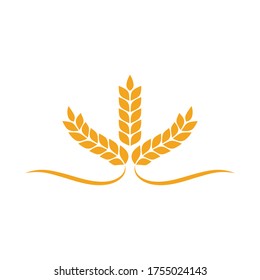 Agriculture wheat Template vector icon design illustration