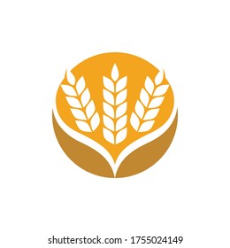 Agriculture wheat Template vector icon design illustration