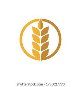 Agriculture wheat Template vector icon design illustration