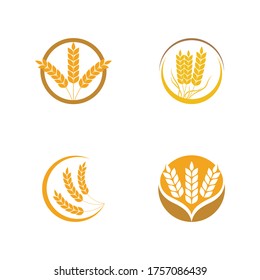 Agriculture wheat Template vector icon design illustration