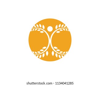 Agriculture wheat Template,healthy life logo vector icon design