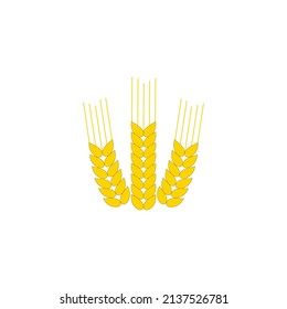 Agriculture wheat three ears vector icon design. Harvest symbol. Thanksgiving day. Stock vector illustration