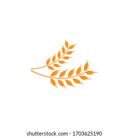 Agriculture wheat vector graphic design template isolated