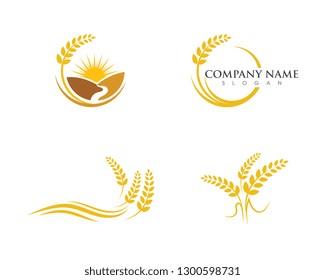 Agriculture wheat vector icon design 