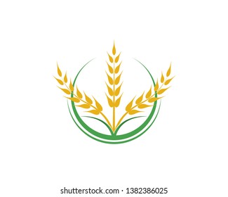 Agriculture wheat vector icon design 