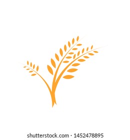 Agriculture wheat vector icon design - Vector