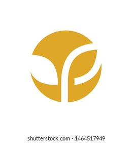 Agriculture wheat vector icon design 