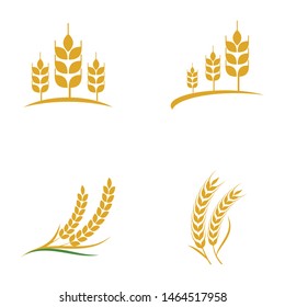 Agriculture wheat vector icon design 