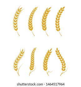 Agriculture wheat vector icon design 