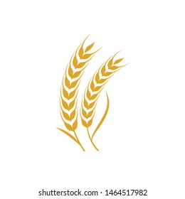 Agriculture wheat vector icon design 