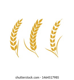Agriculture wheat vector icon design 
