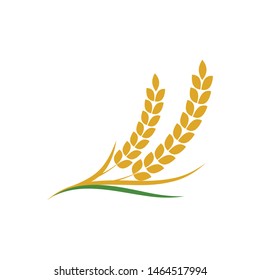 Agriculture wheat vector icon design 